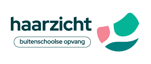 BSO_Haarzicht_png