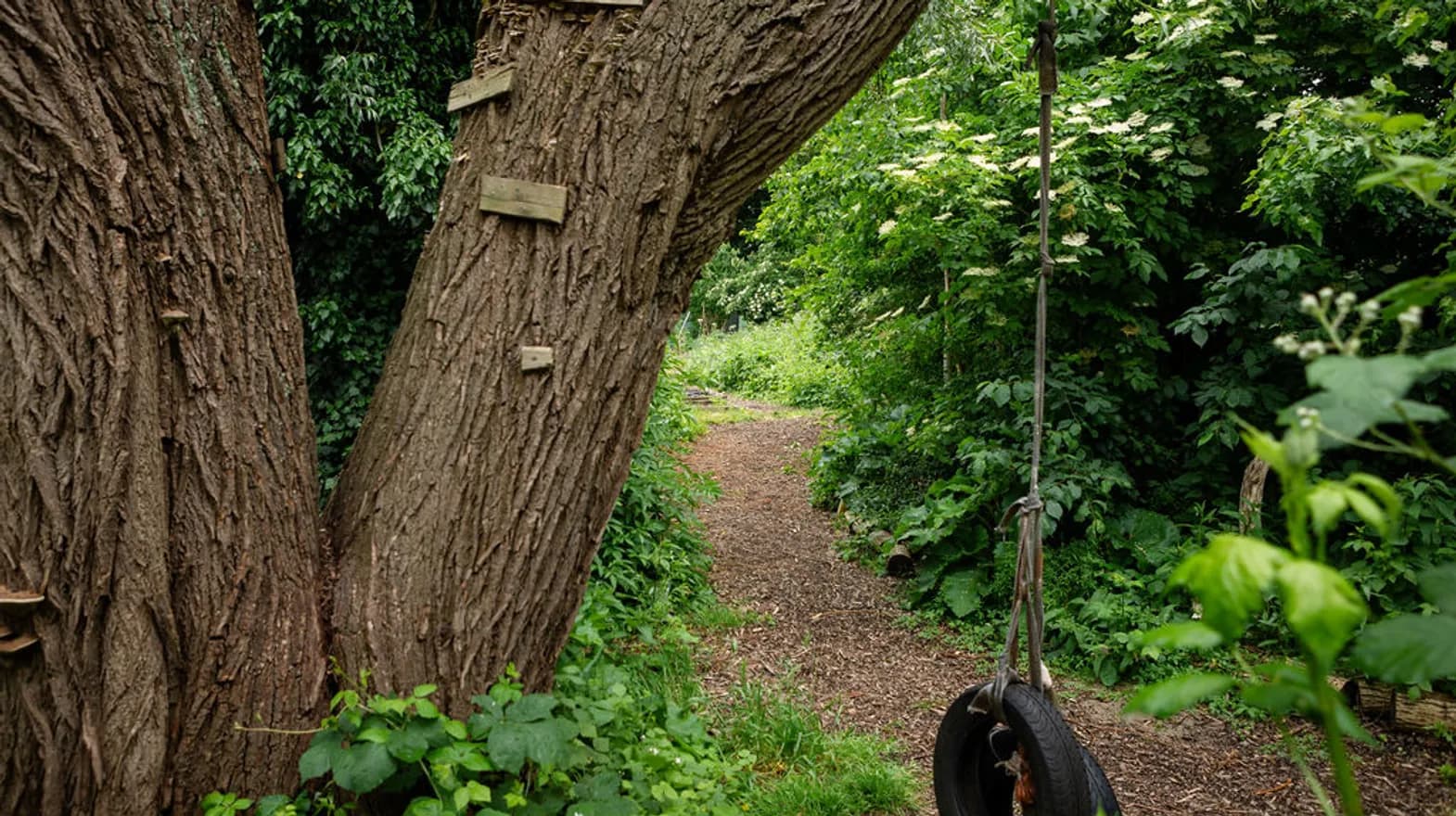 Schommel van een autoband hangt aan boom in de tuin van buitenschoolse opvang Cremertuin bij kinderopvang Kind&co Ludens