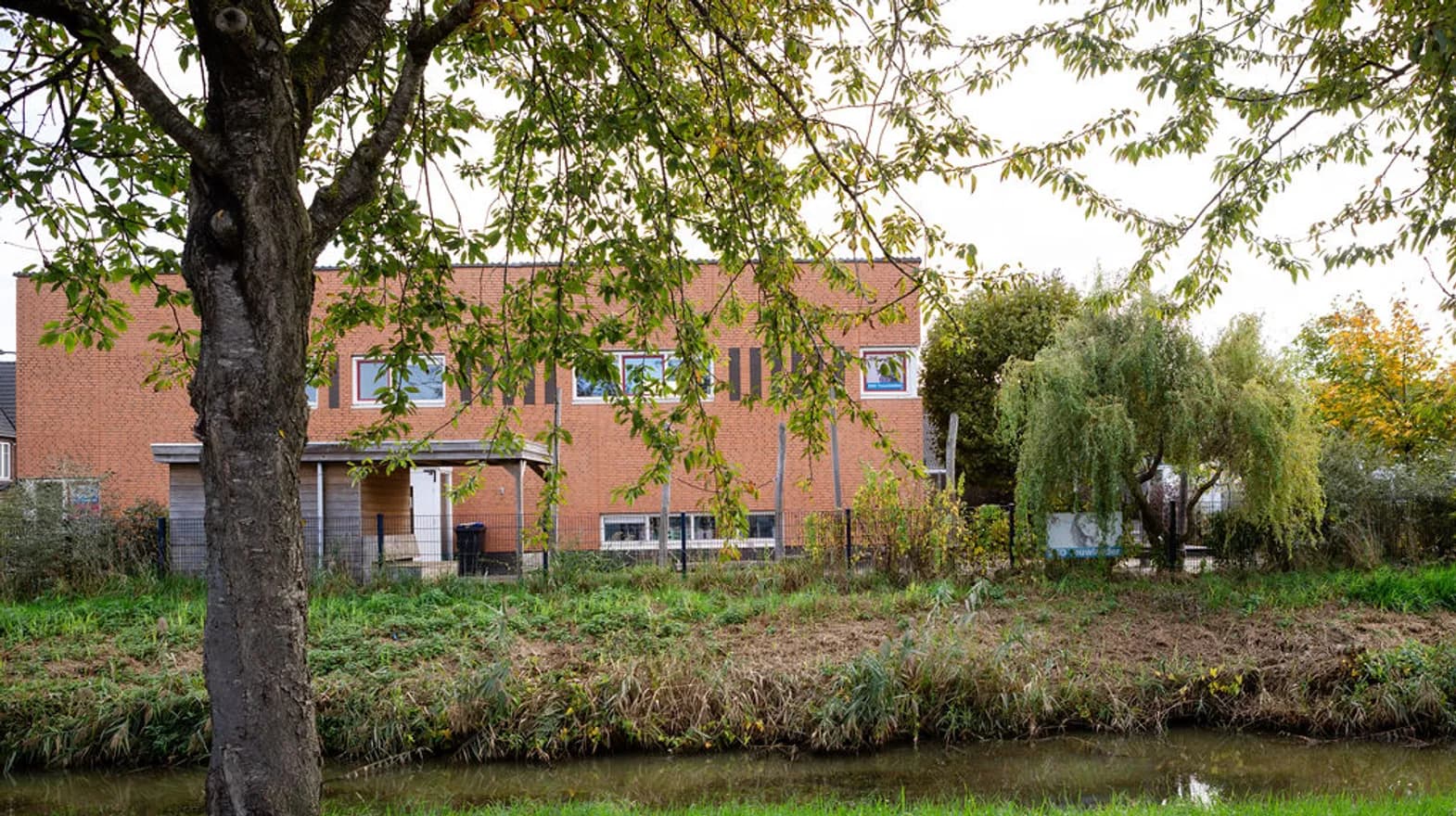 Buitenruimte BSO Touwladder Wilnis Kind&co ludens