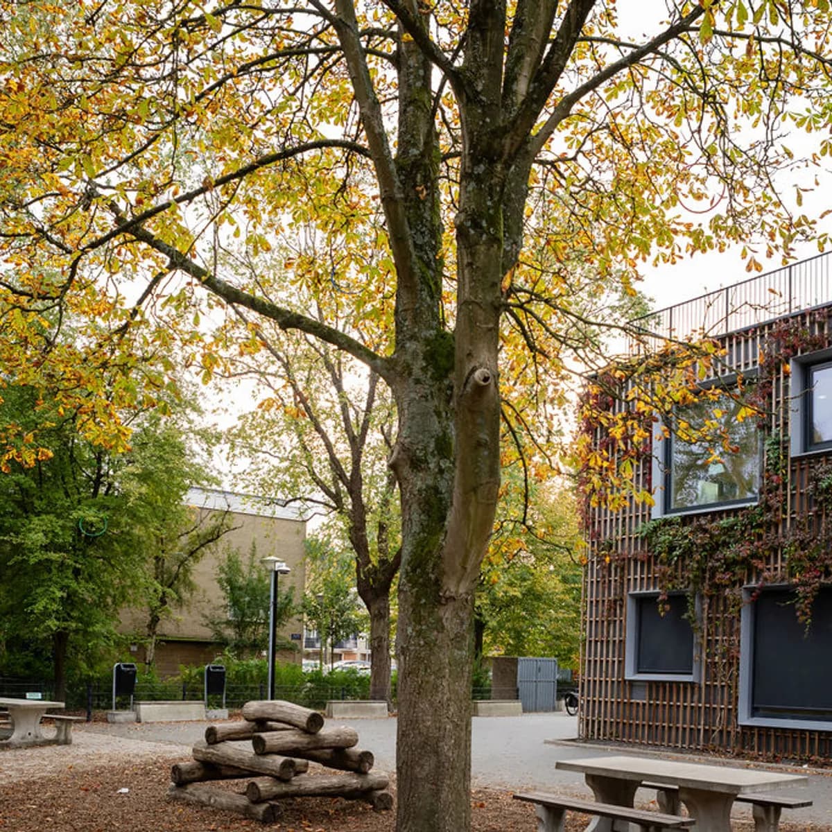 Buitenruimte BSO South Amsterdam Kind&co ludens