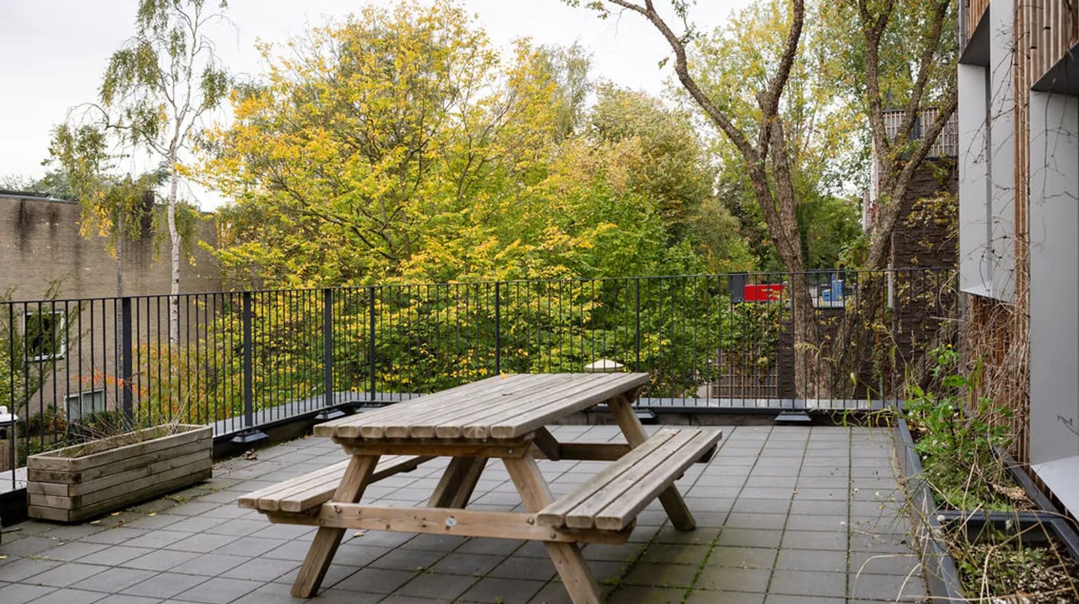 Buitenruimte BSO South Amsterdam Kind&co ludens