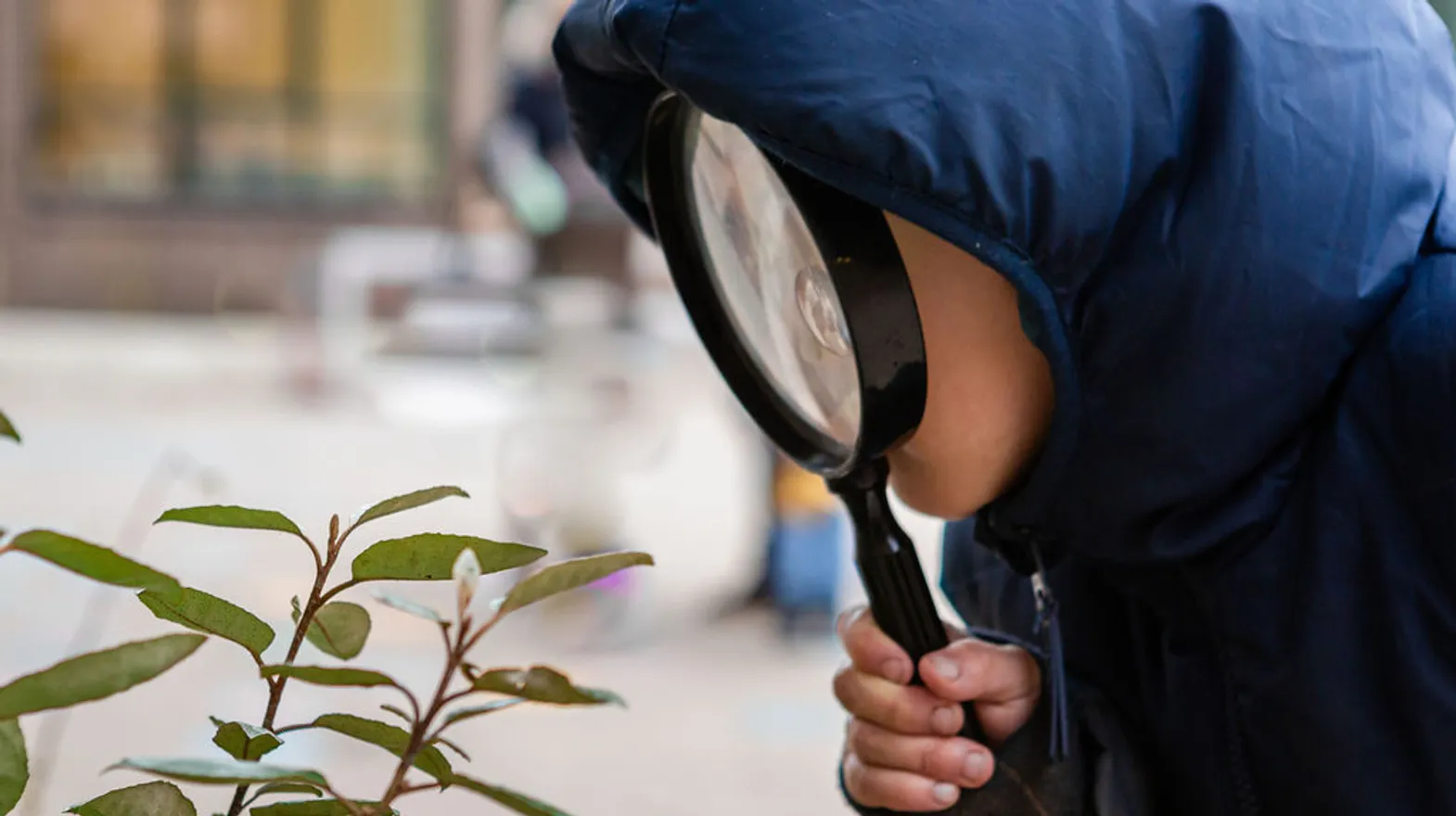 Kind kijkt door vergrootglas bij BSO Kikkersloot van kinderopvang Kind&co ludens