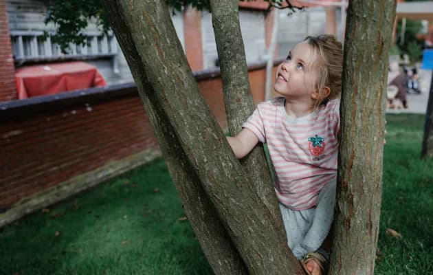 Kind klimt in boom bij kinderopvang Kind&co ludens