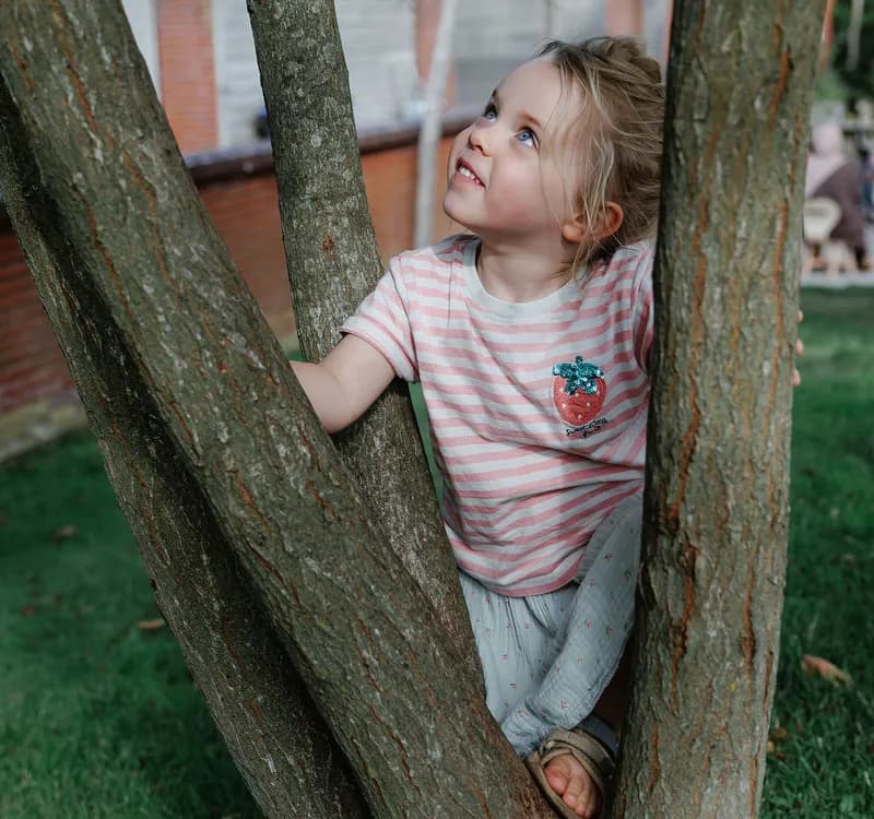 Kind klimt in boom bij kinderopvang Kind&co ludens
