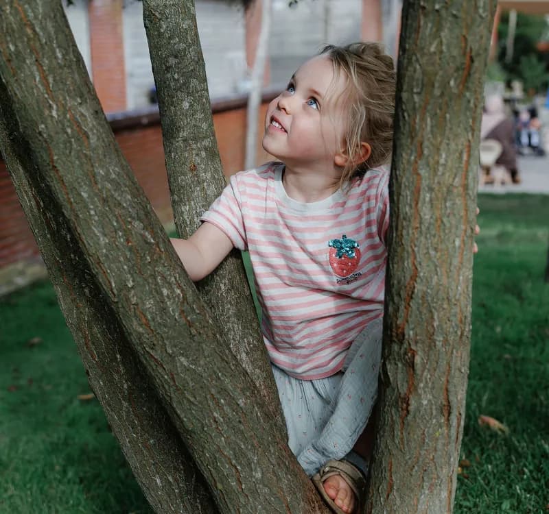 Kind klimt in boom bij kinderopvang Kind&co ludens