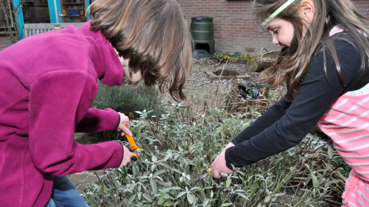 Kinderen aan het tuinieren bij BSO Zeist Griffel van kinderopvang Kind&co ludens