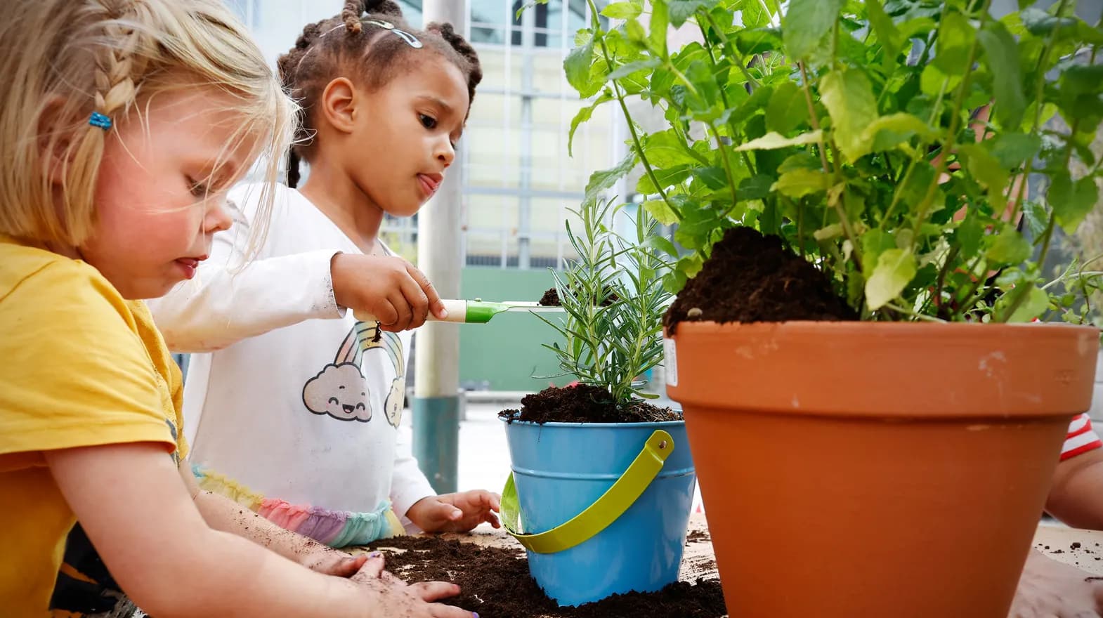 Kinderen van de peutergroep tuinieren in de moestuin bij kinderopvang Kind&co ludens