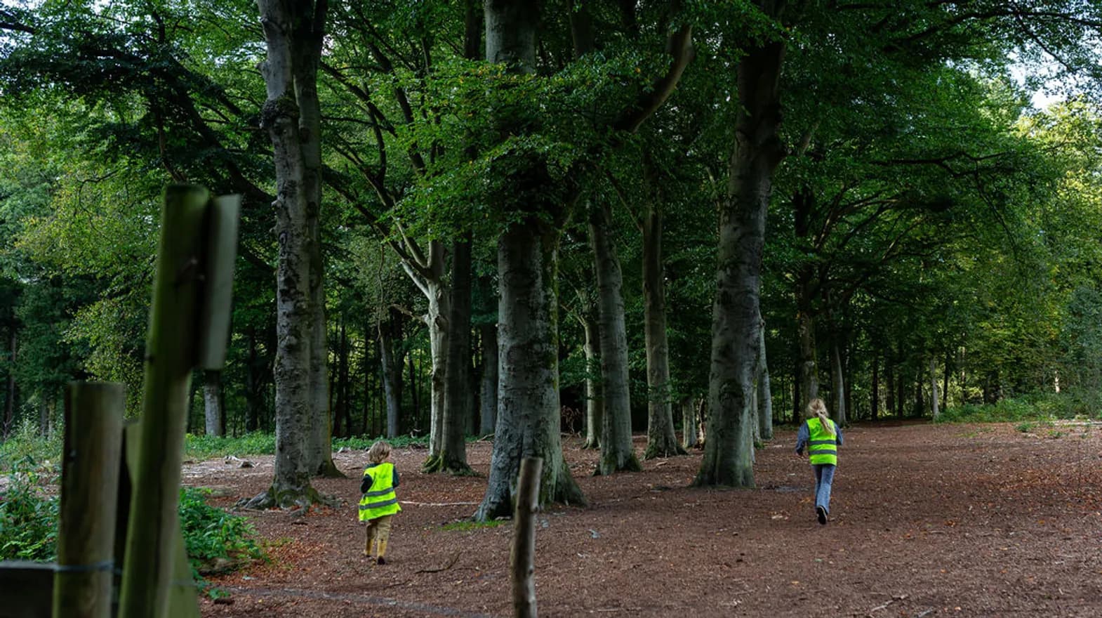 Kinderen spelend in het bos bij BSO Scouts Baarn van kinderopvang Kind&co ludens