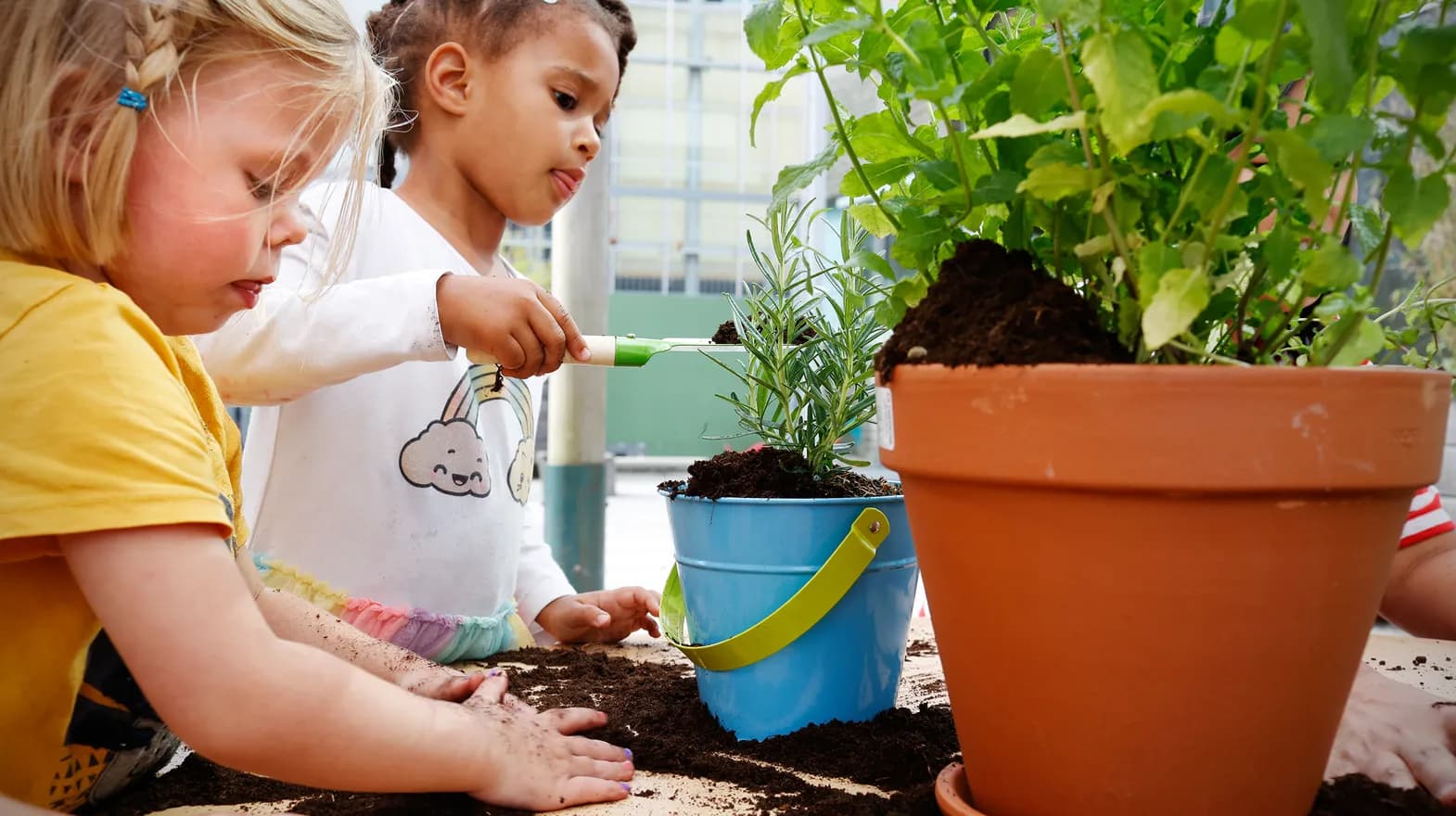 Kinderen van de peutergroep tuinieren in de moestuin bij kinderopvang Kind&co ludens