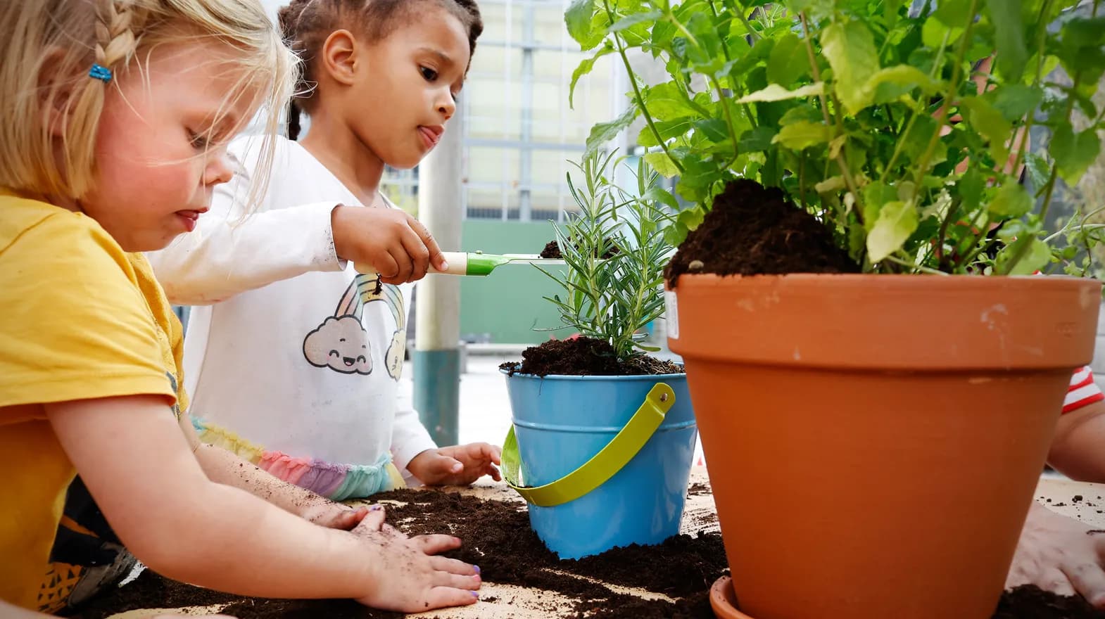 Kinderen van de peutergroep tuinieren in de moestuin bij kinderopvang Kind&co ludens