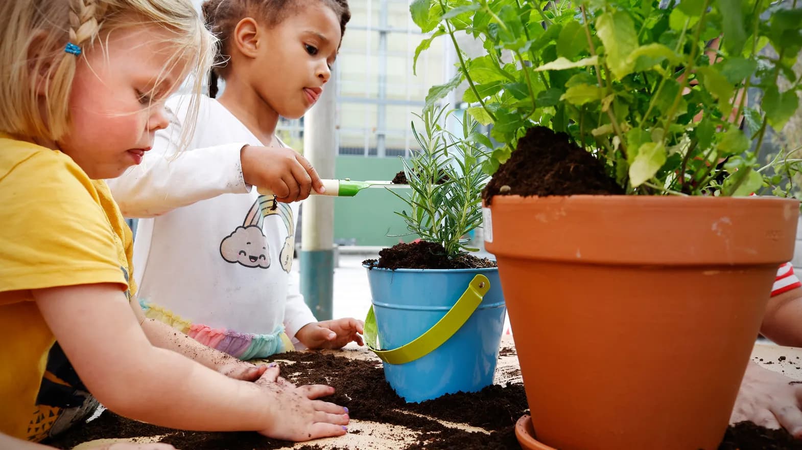 Kinderen van de peutergroep tuinieren in de moestuin bij kinderopvang Kind&co ludens