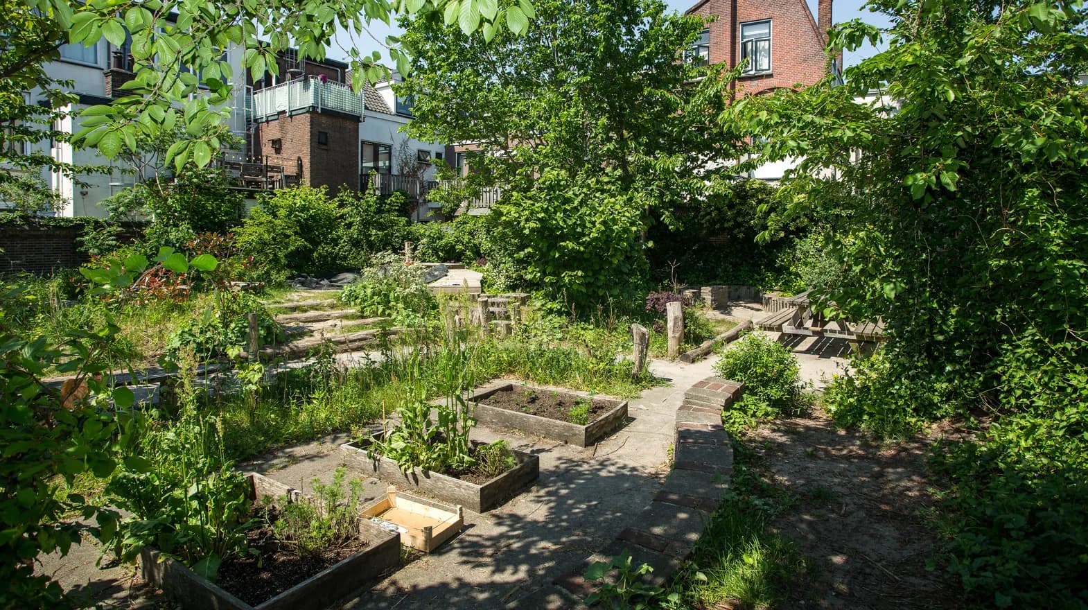 Moestuin BSO Utrecht Kaktus van  bij kinderopvang Kind&co ludens