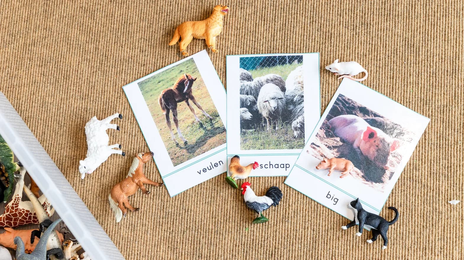 Praatplaten met boerderijdieren bij peuteropvang Leeuwesteyn, Kinderopvang Kind&co ludens