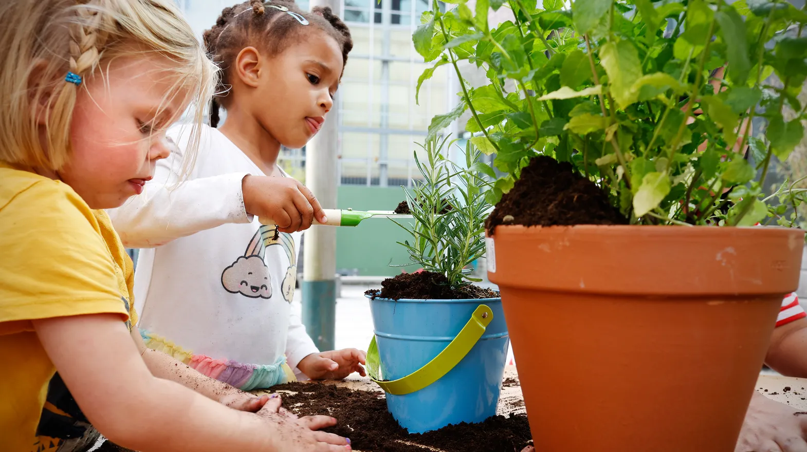 Kinderen van de peutergroep tuinieren in de moestuin bij kinderopvang Kind&co ludens
