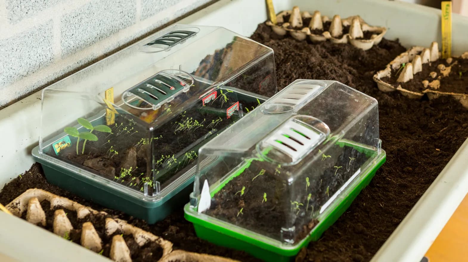 Kweektafel met opkomende plantjes bij BSO Utrecht Bolderburen van kinderopvang Kind&co ludens