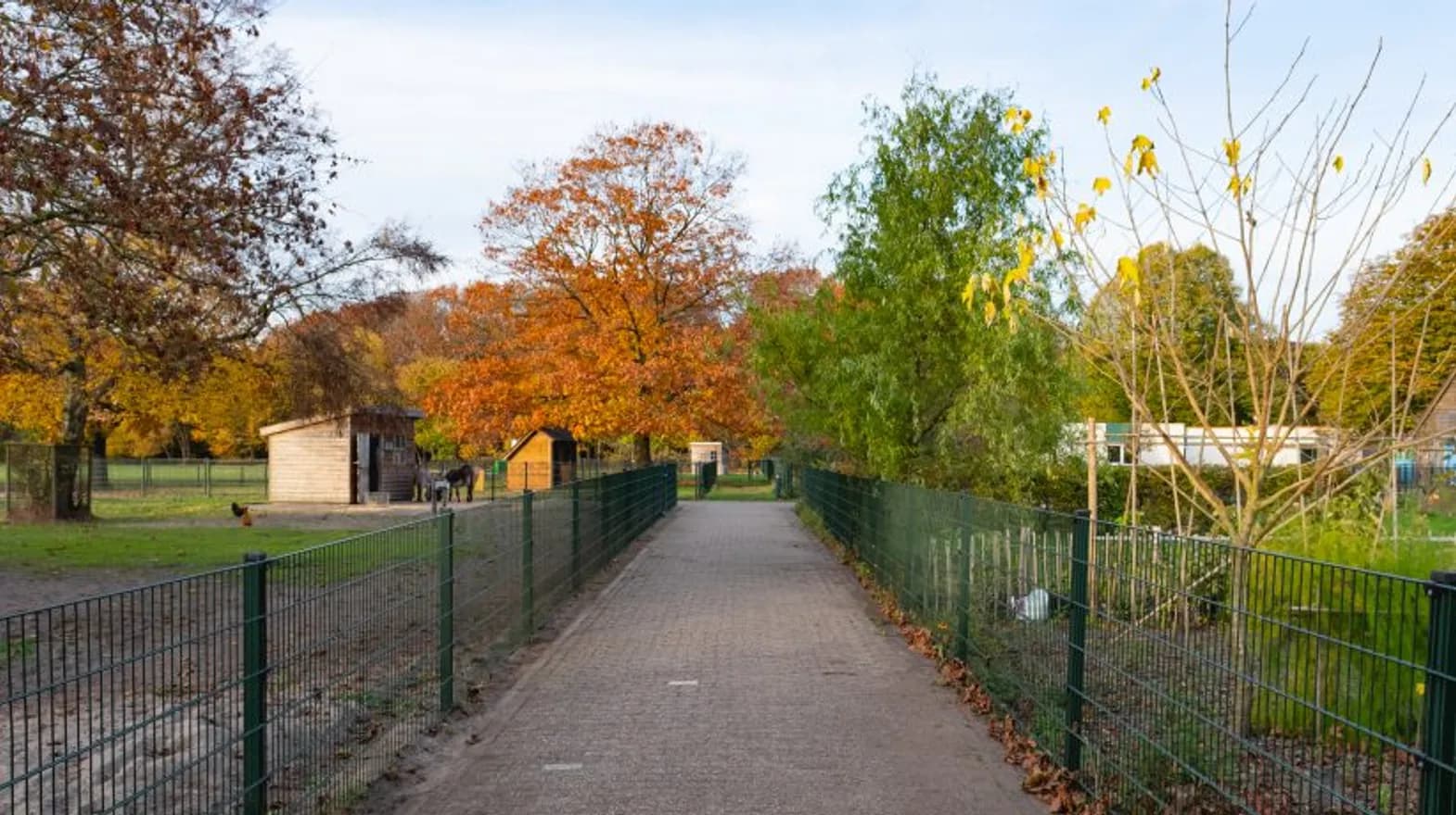 Kinderdagverblijf Bilthoven De Welpen 2