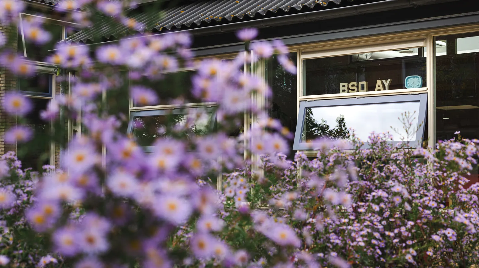 De tuin van buitenschoolse opvang Ay bij kinderopvang Kind&co ludens