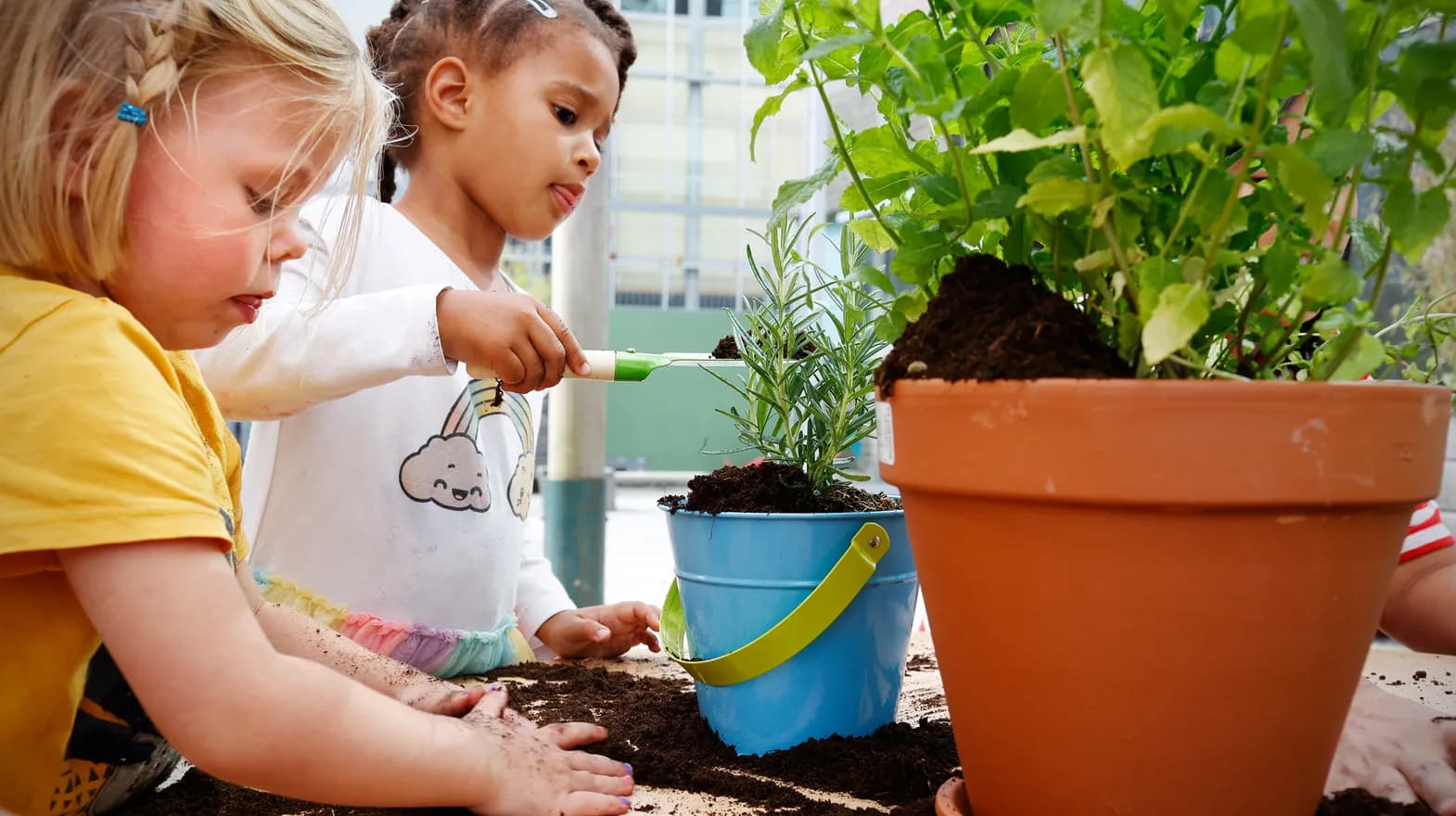 Kinderen van de peutergroep tuinieren in de moestuin bij kinderopvang Kind&co ludens
